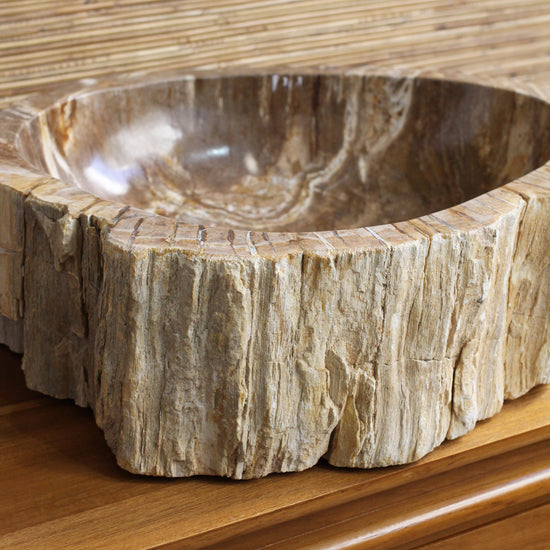 Cuba Ishan em Madeira Fossilizada