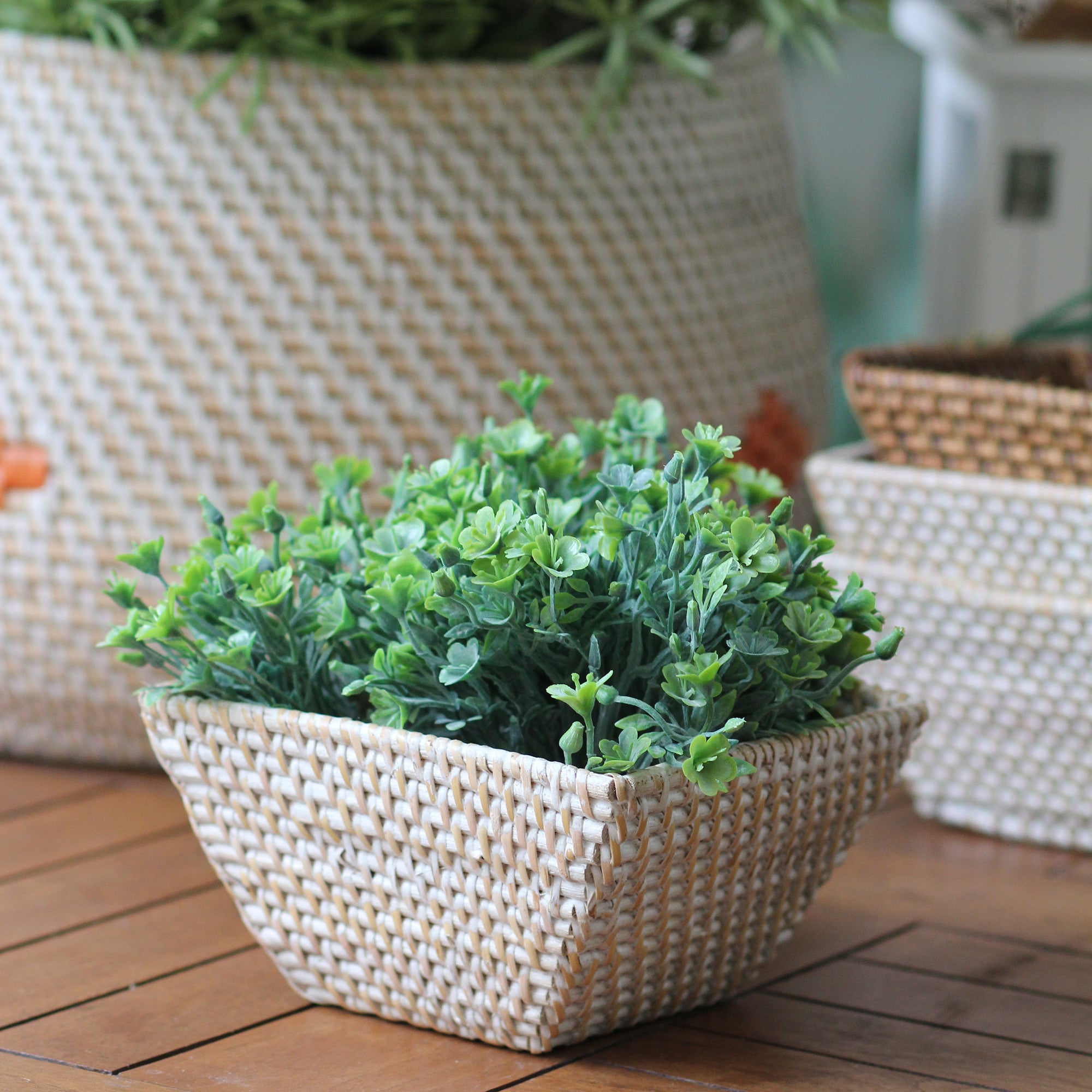 Cesto Pallavi Quadrado