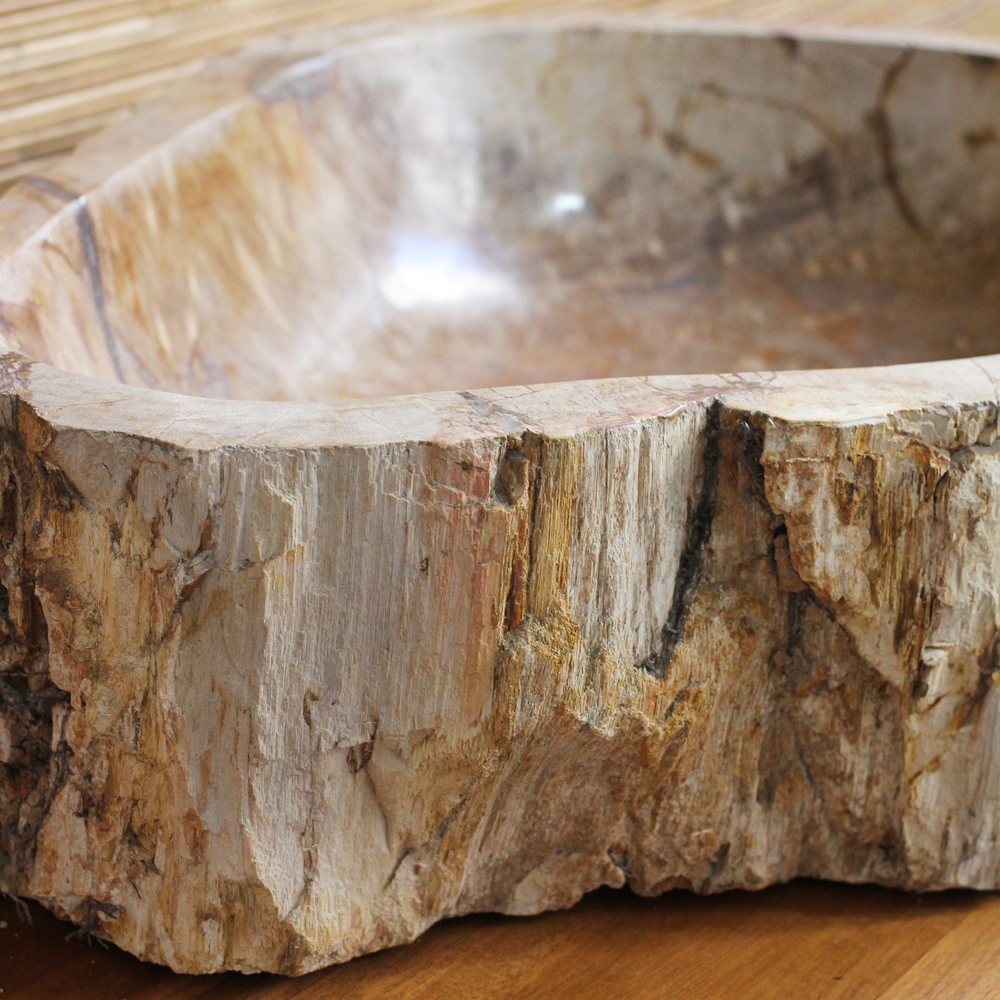 Cuba Aarav em Madeira Fossilizada