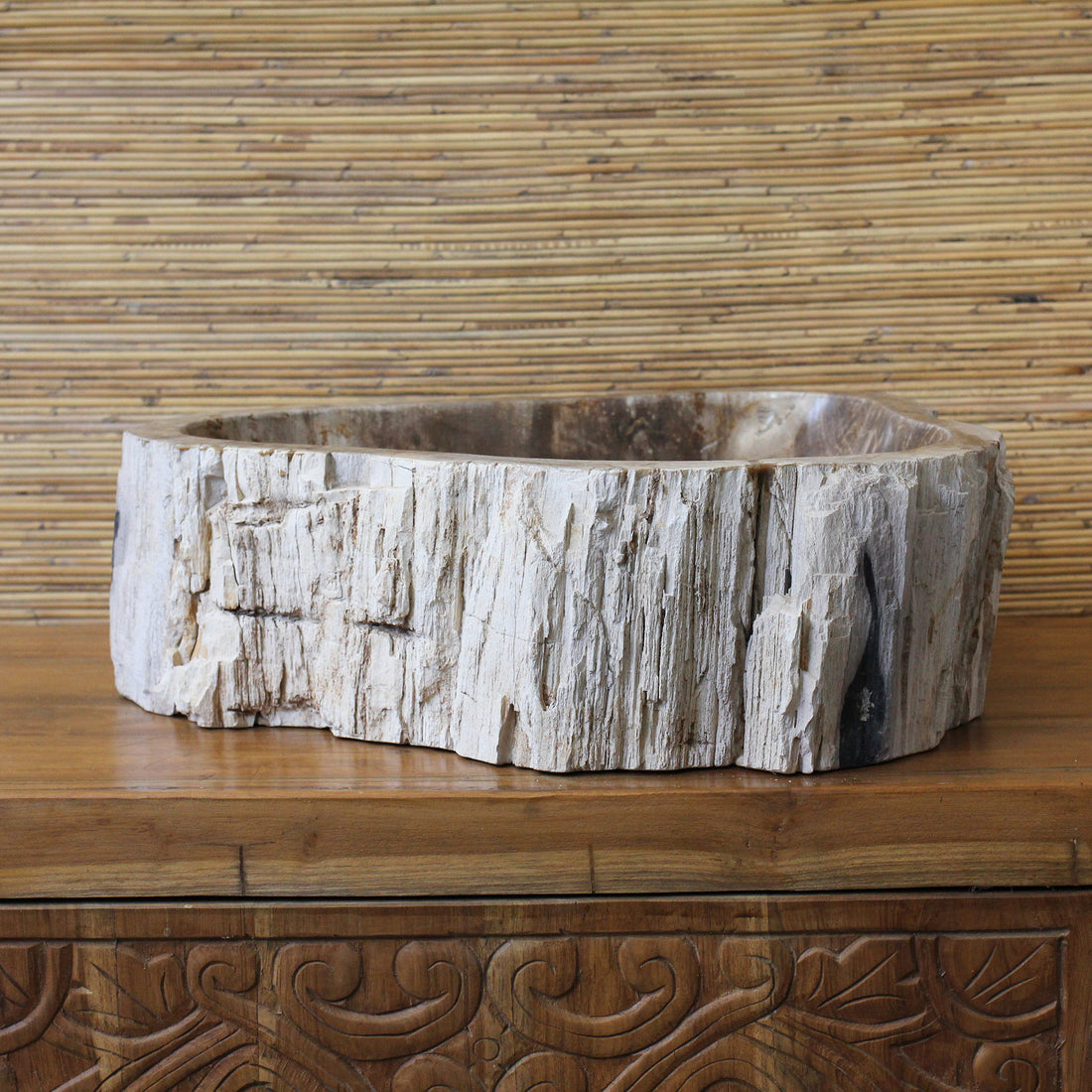 Cuba Singa em Madeira Fossilizada