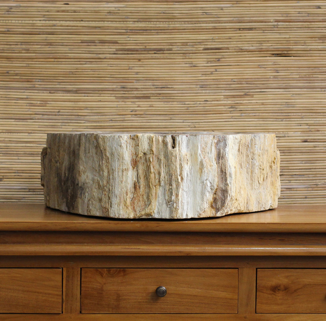 Cuba Lavanya em Madeira Fossilizada