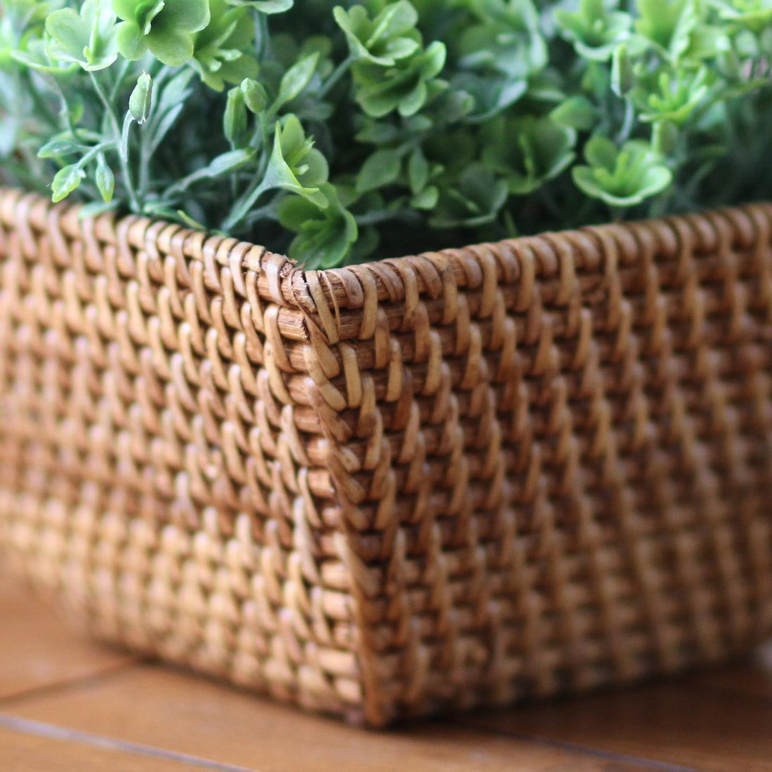 Cesto Pallavi Quadrado