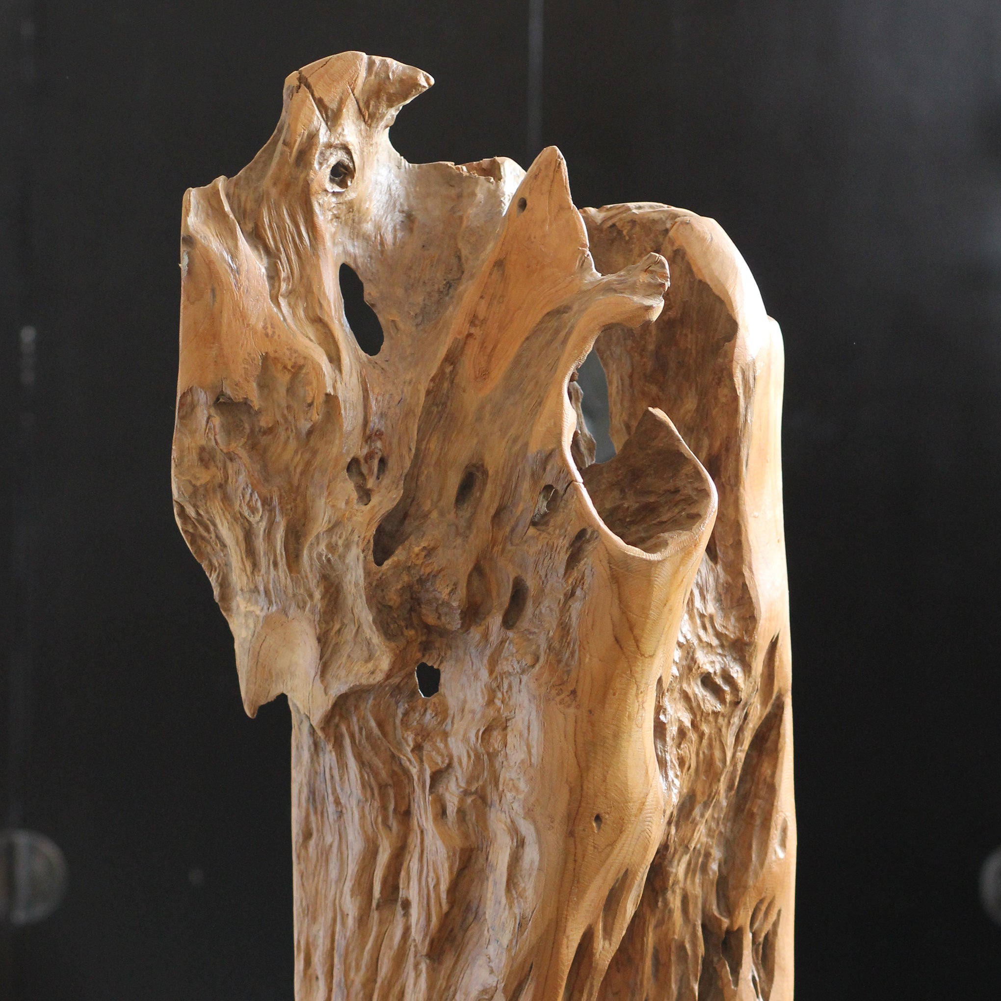 Escultura Orgânica Harum