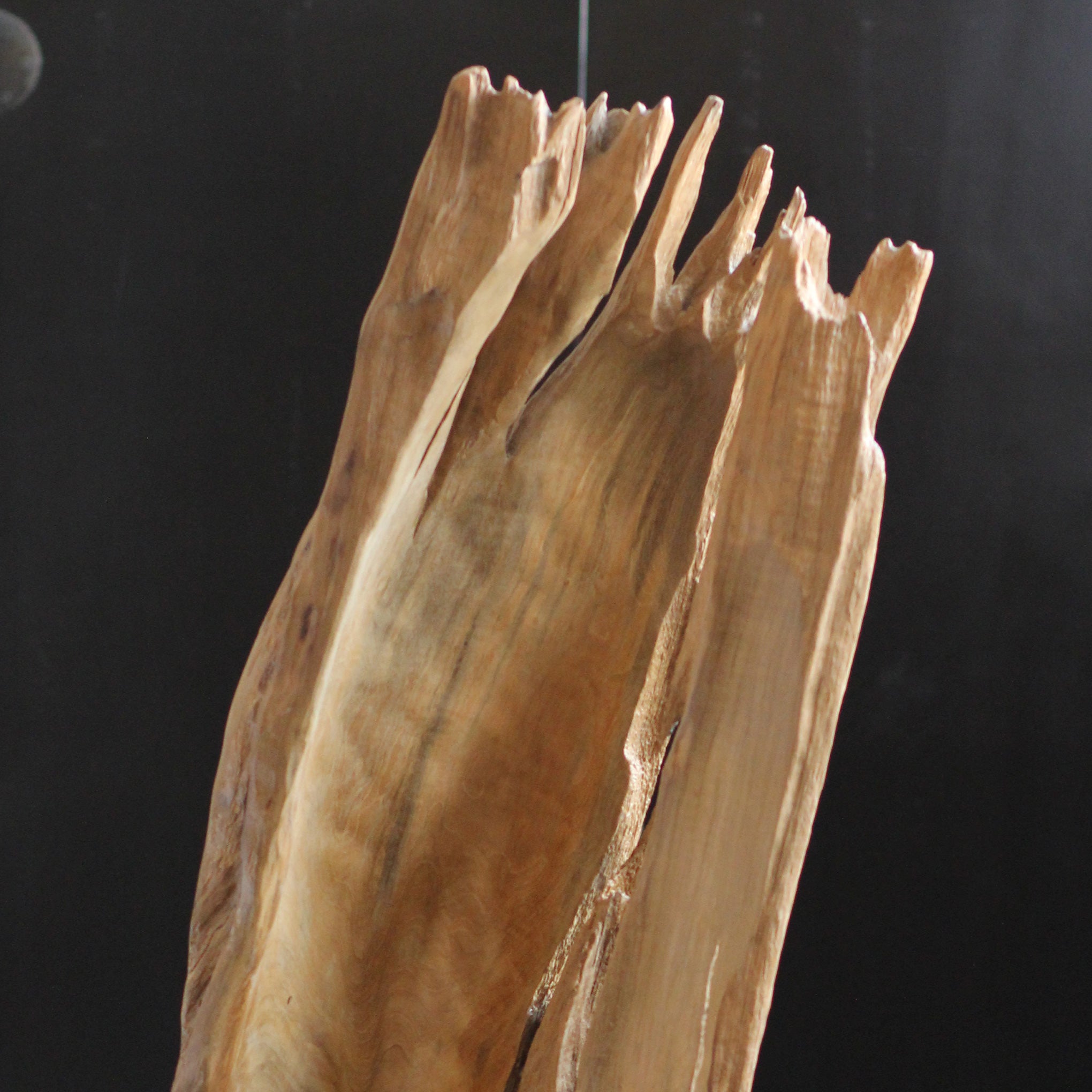 Escultura Orgânica Benar