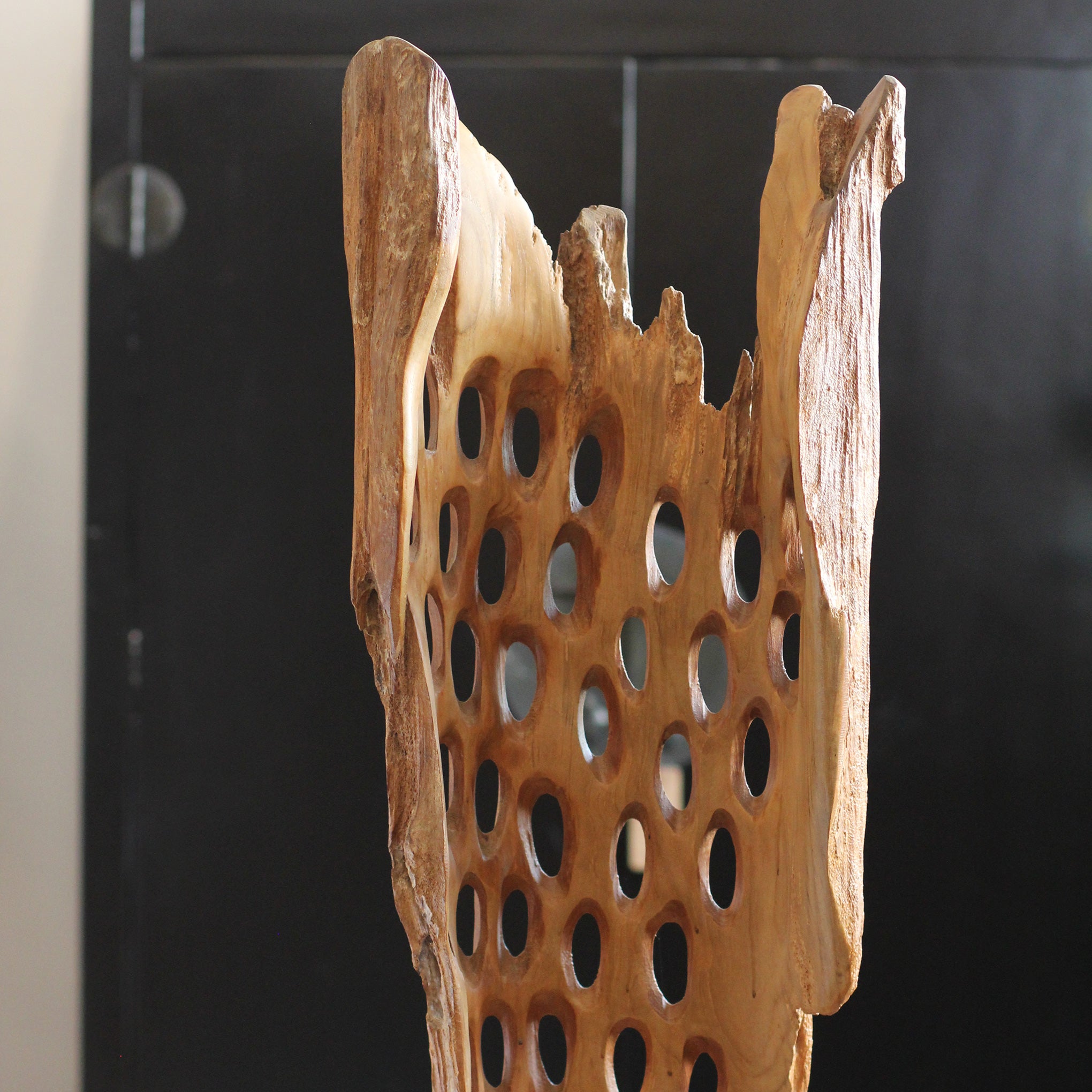 Escultura Orgânica Sinar