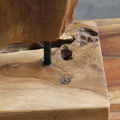 Escultura Orgânica Sinar