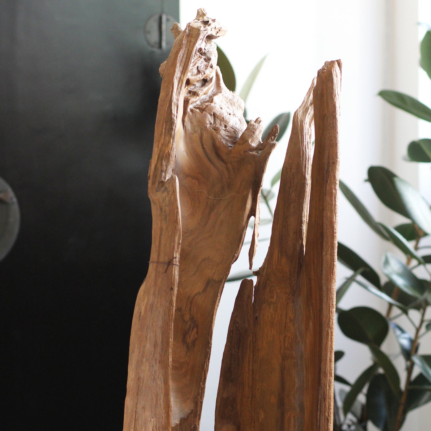 Escultura Orgânica Luhur