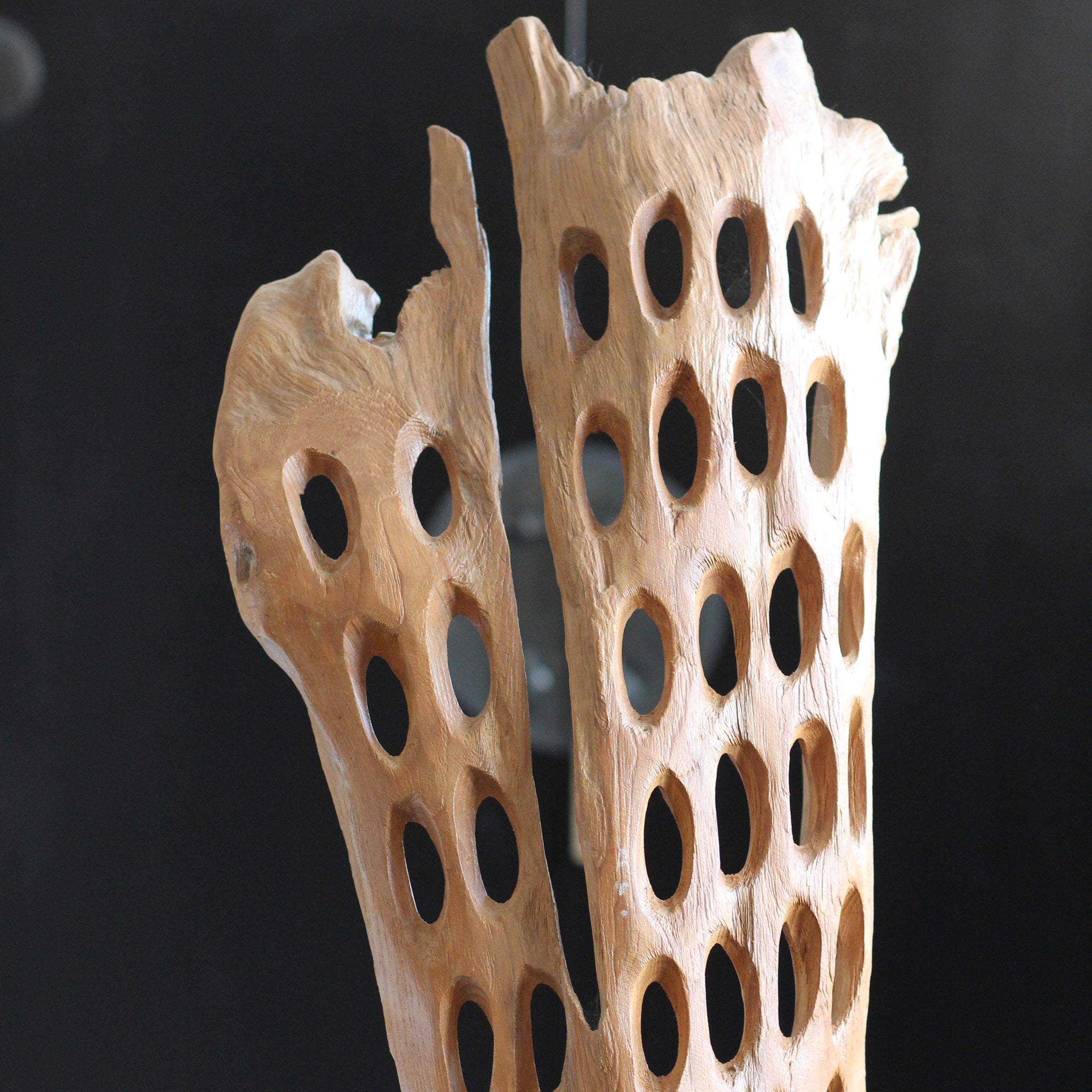 Escultura Orgânica Cendana
