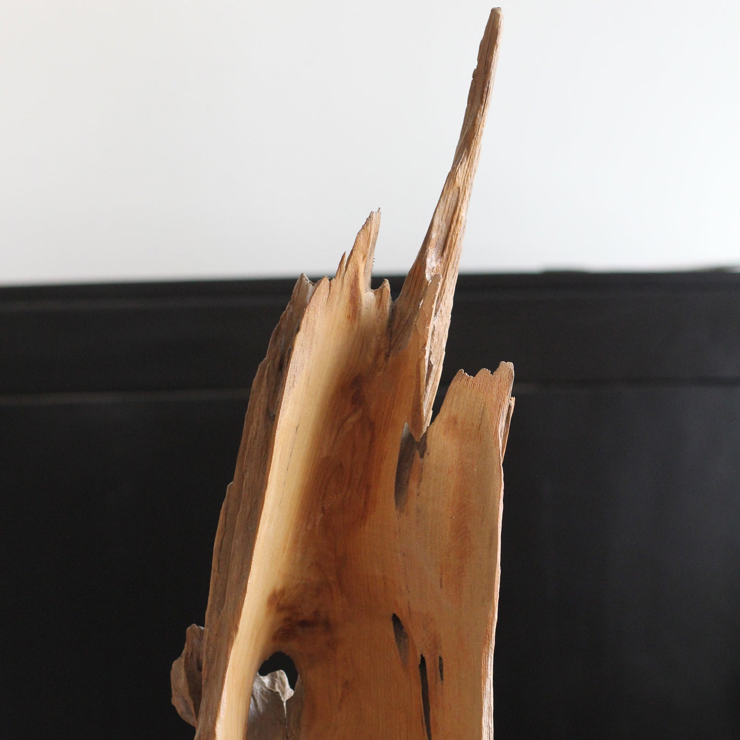 Escultura Orgânica Arif