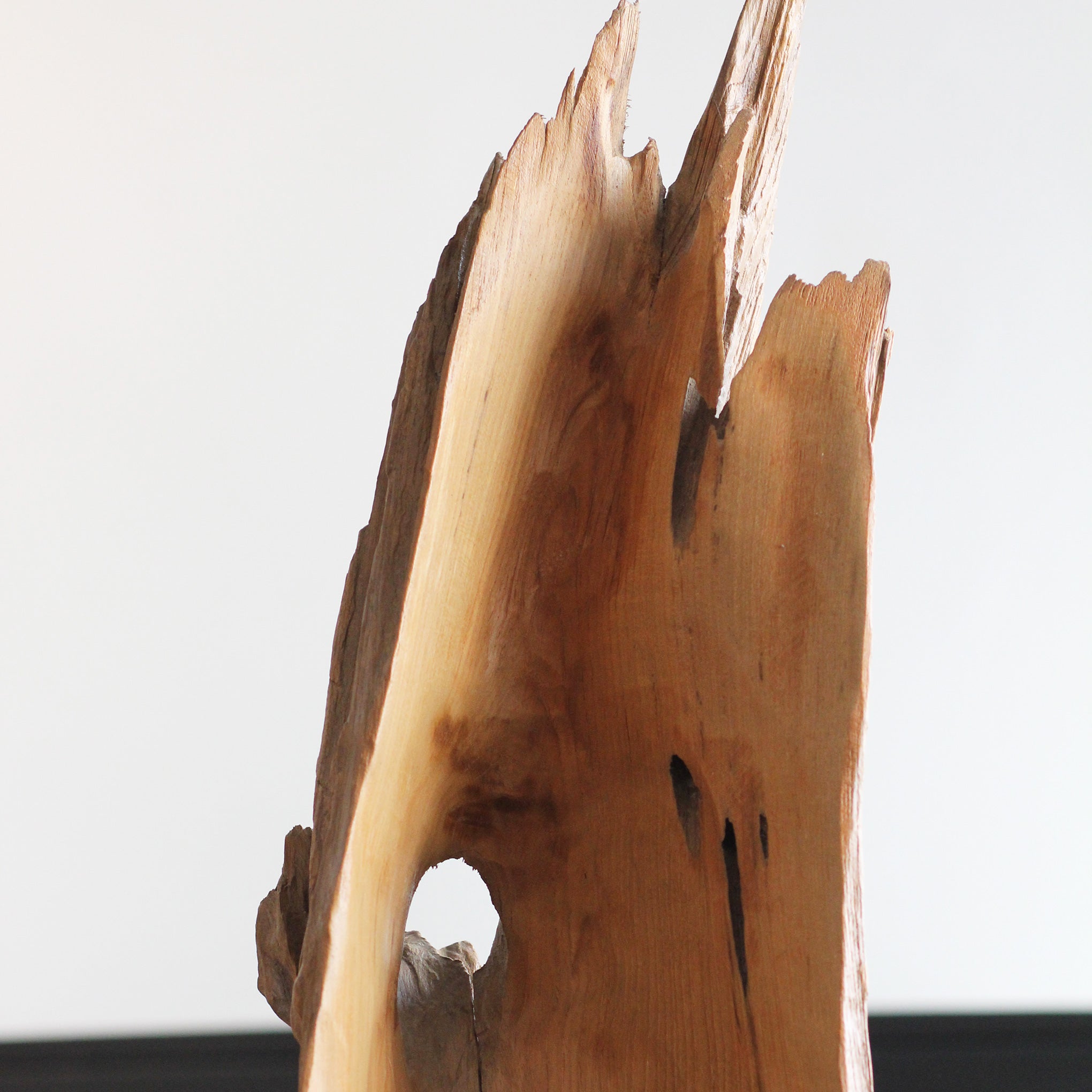 Escultura Orgânica Arif
