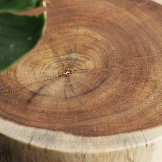 Banqueta alta Tinggi