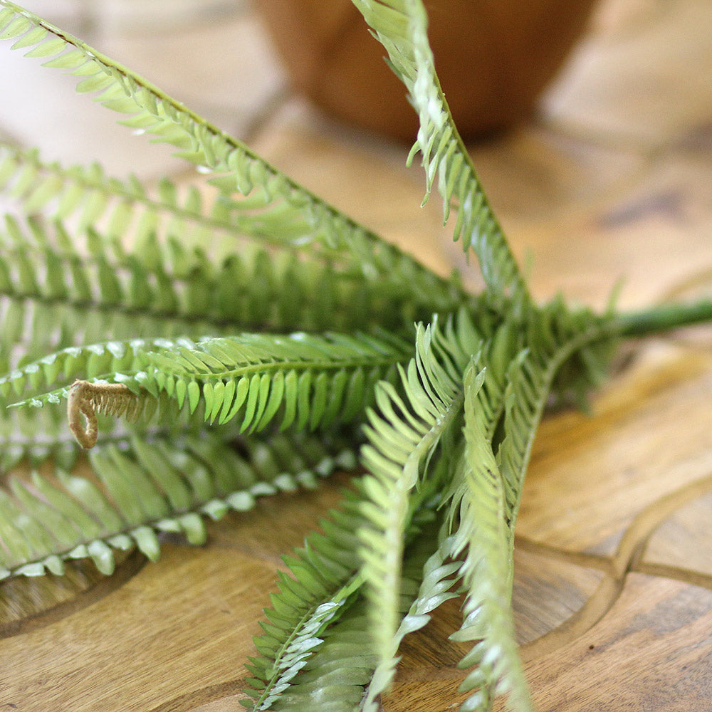 Folhagem Samambaia 50CM