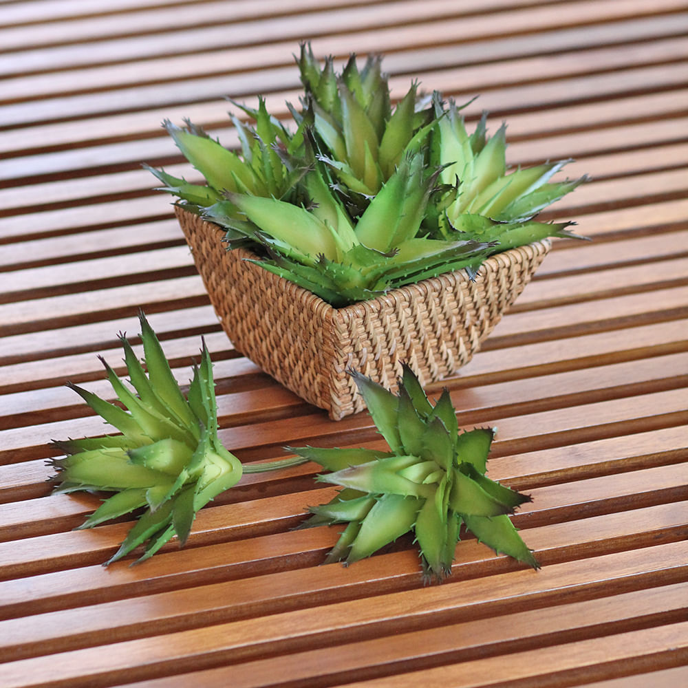 Mini Suculenta Babosa — peça artesanal em madeira natural — indonésia Bali — Balai