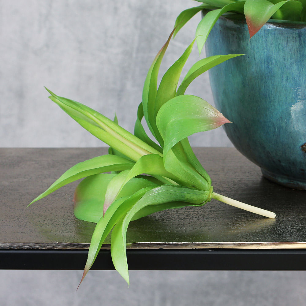 Folhagem Suculenta Aloe 20CM — peça artesanal em madeira natural — indonésia Bali — Balai